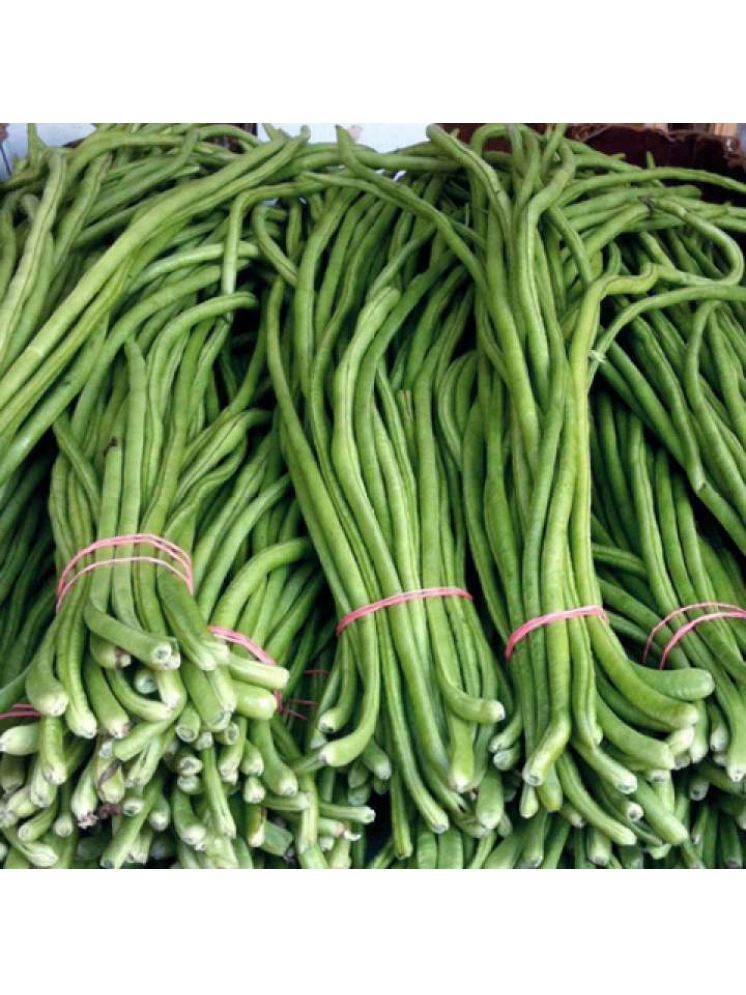     			Jignisha Seeds Black Eyed Pea Vegetable ( 50 Seeds )