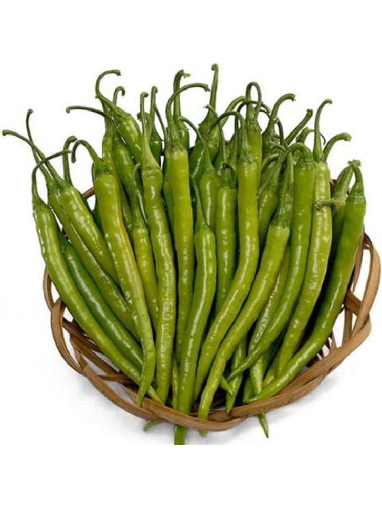     			Jignisha Seeds Hybrid Green Chilli Vegetable ( 50 Seeds )