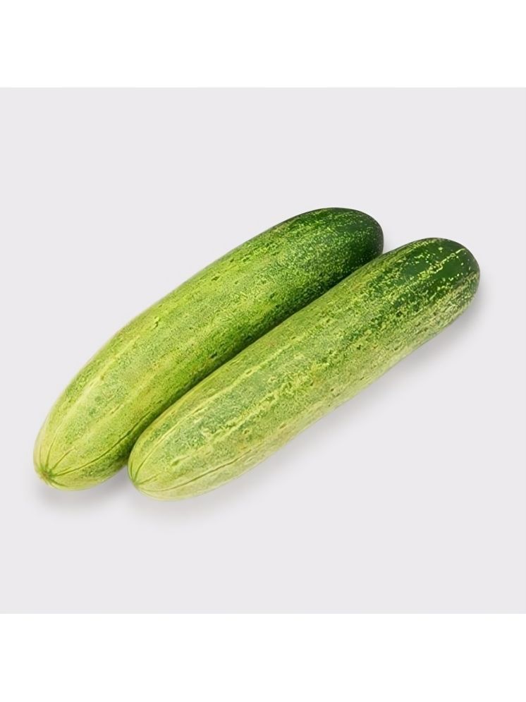     			Jignisha Seeds Green Cucumber Vegetable ( 50 Seeds )